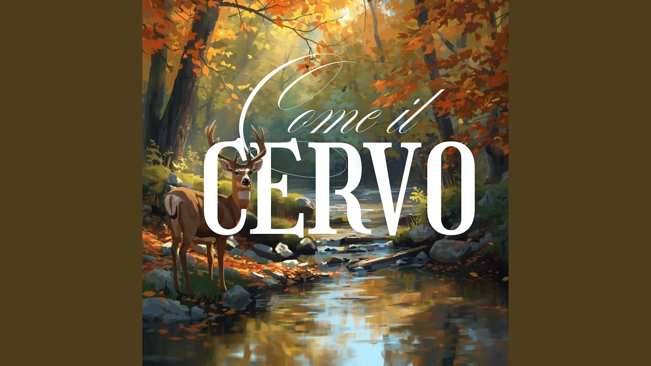 Come il cervo