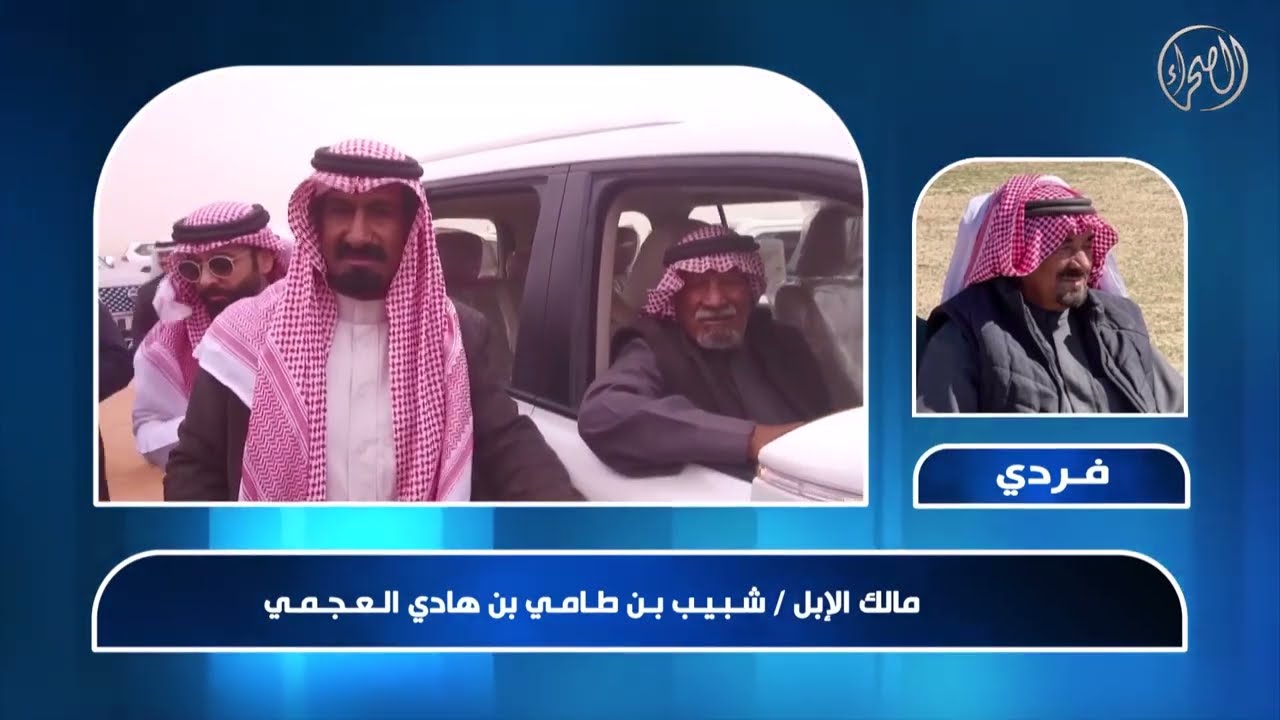 فردي السالمية | لمالك الإبل/ شبيب بن طامي بن هادي العجمي | مهرجان الملك عبدالعزيز للإبل7
