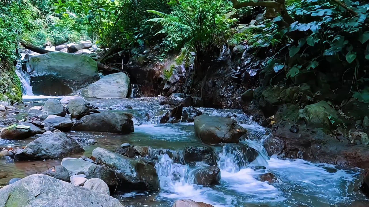 Gentle River Stream for Inner Calm