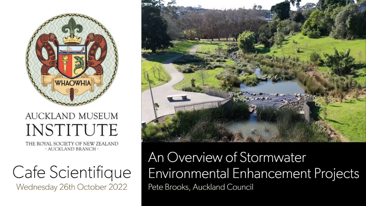 Café Scientifique: An Overview of Stormwater Environmental Enhancement Projects (October 2022)