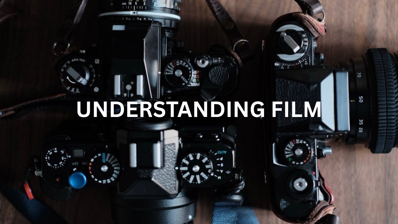 Nikon Zf vs Fujifilm: Only One Understands Film