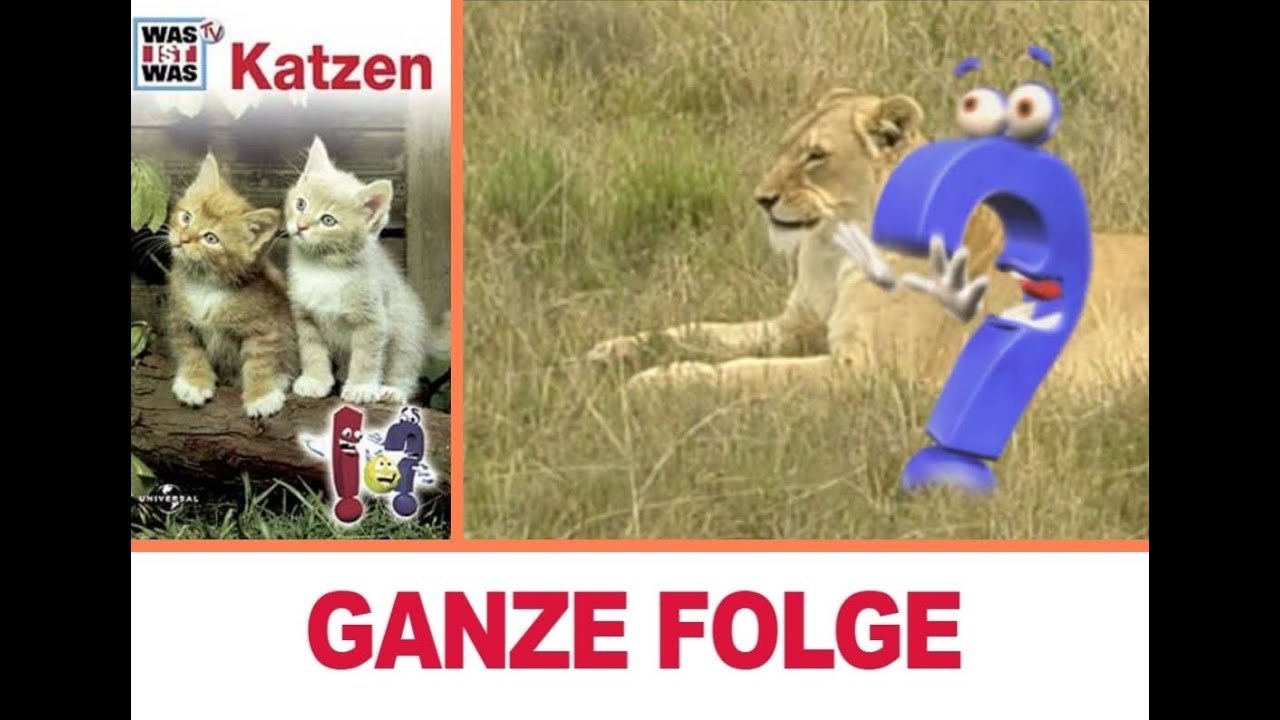 13 Katzen: Theo, Tess und Quentin in WAS IST WAS TV - Ohne Wissensteil