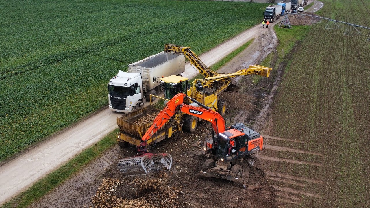 Déterrage de betteraves en Beauce avec l ETA JMA
