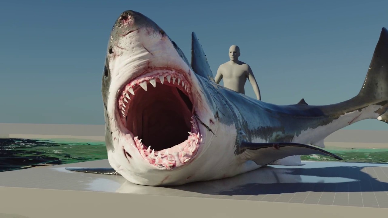 The Shallows (2016) -  VFX Breakdown - By ILP