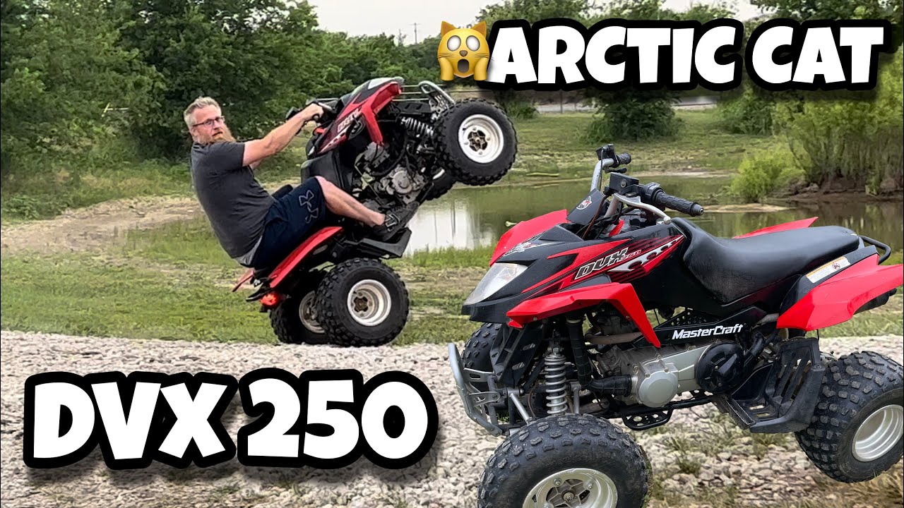 Arctic Cat DVX 250