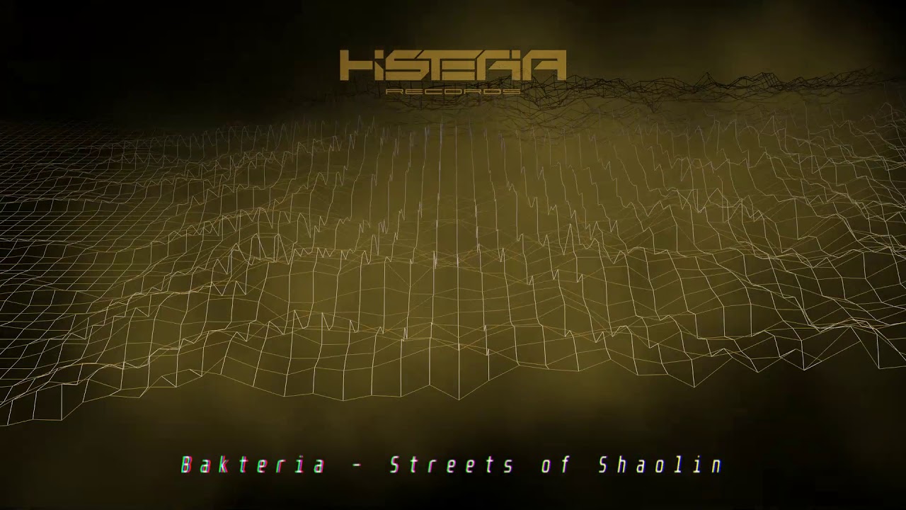 Bakteria - Streets of Shaolin