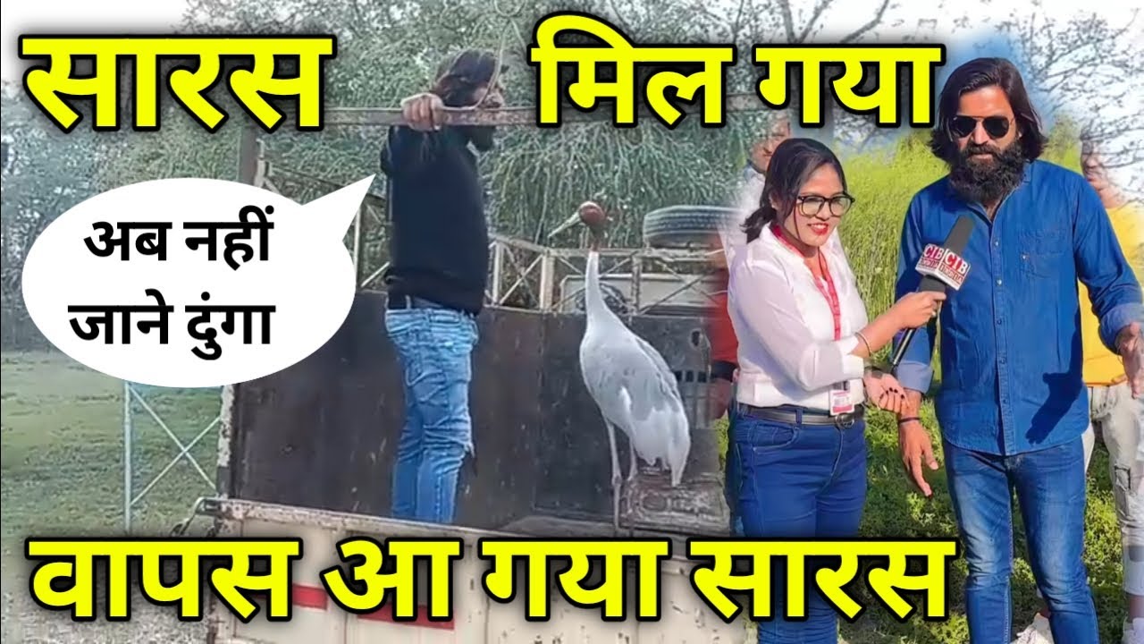🤩 आरिफ को सारस🦩 वापस मिला,Akhilesh Yadav ने किया वबाल ! Arif Saras ka dost @Arifgurjar191 | Saras