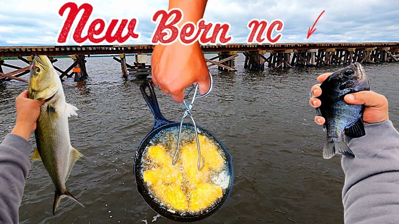 DELICIOUS!! | Catch, Clean, Cook in New Bern NC
