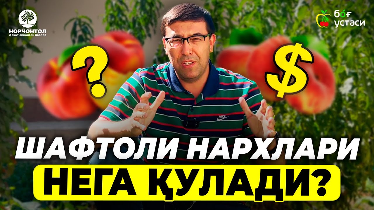 НИМАГА БУ ШАФТОЛИЛАР ҚИММАТ СОТИЛДИ ❓ | ШУҲРАТ АБРОРОВ #shuhratabrorov #shaftoli #sahftoliarzon #uzb