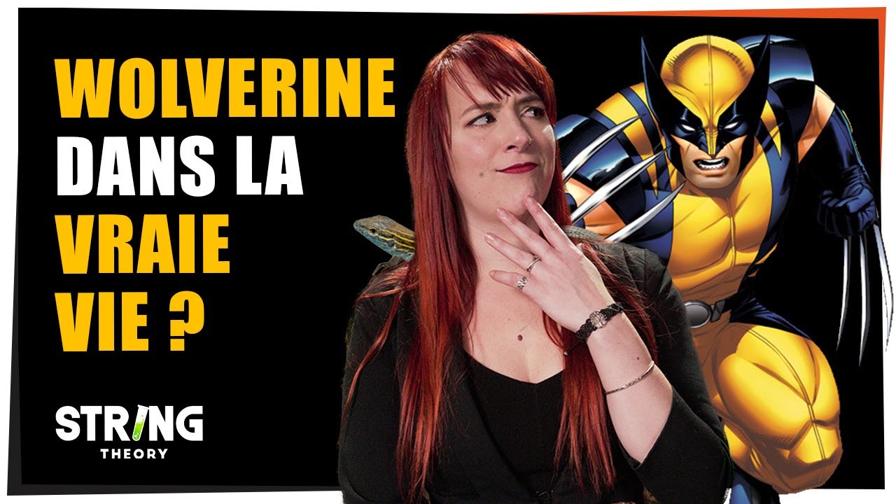 Wolverine dans la vraie vie ? - Castor Mother #33 - String Theory