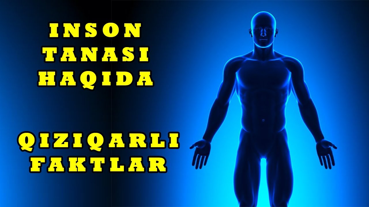 INSON ORGANIZMI HAQIDA QIZIQARLI FAKTLAR
