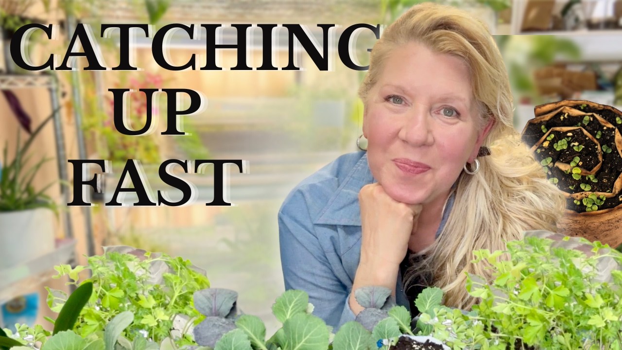 When Life Gets in the Way… We Just Adjust | Seed Room Chat