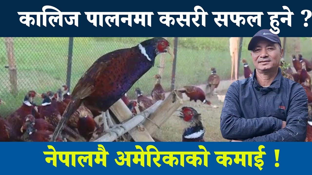 नेपालमै अमेरिकाको कमाई | कालिज पालनमा कसरी सफल हुने ? 