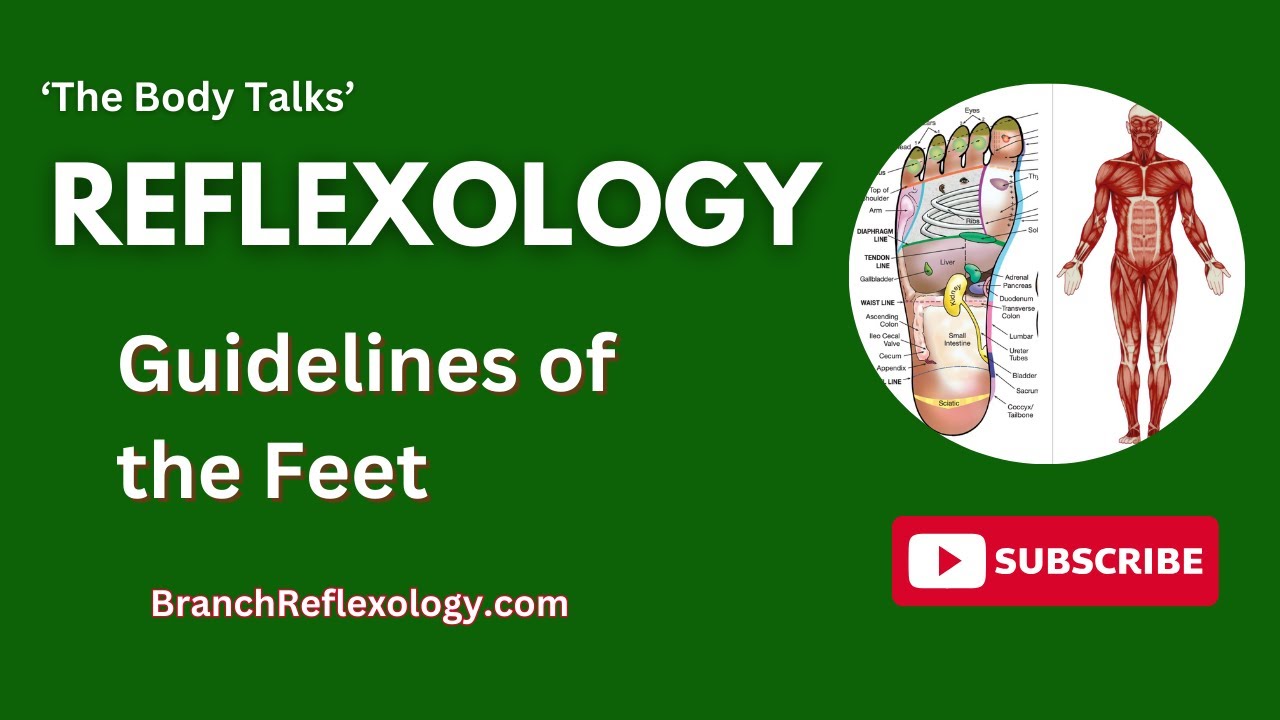Guidelines of the Feet - Reflexology