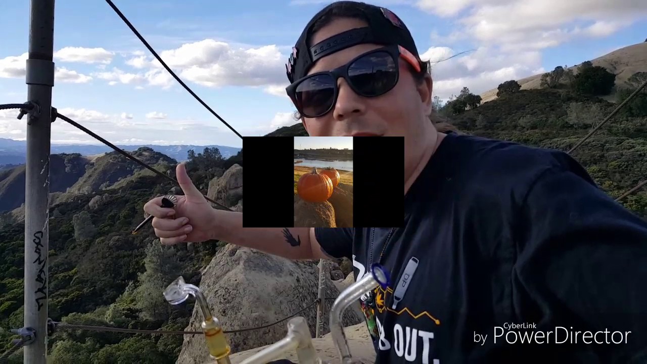 Top of the world dabs
