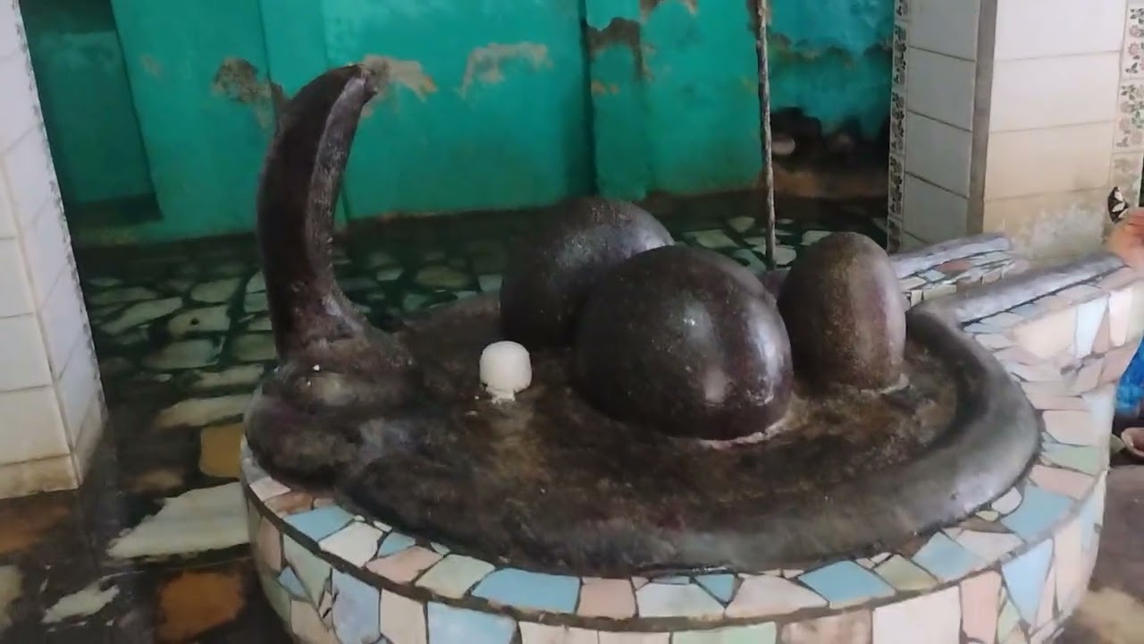 ब्लॉक वीडियो ।।। शिवरात्रि के अवसर पर सभी लोग शिव दर्शन 🙏🌹🙏🌹🙏🌹