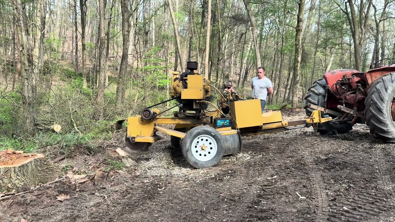 Frick sawmill setup #2 (tree felling and stump grinding)