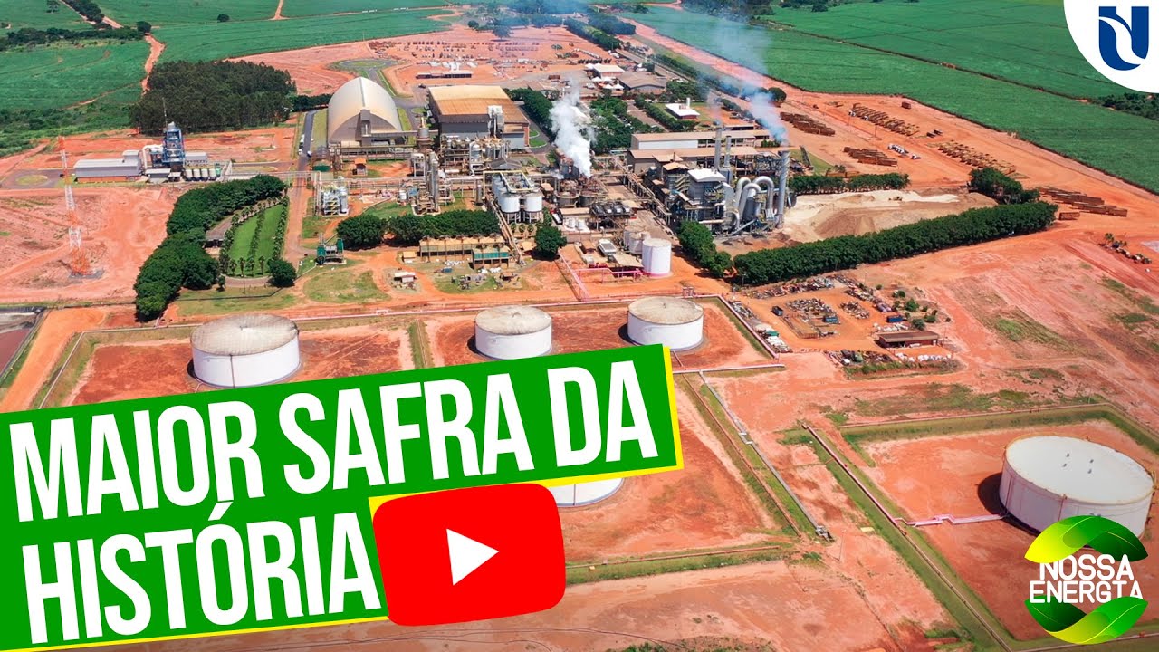 Usina Lins inicia moagem da maior safra na expectativa de processar 4,25 mi/t
