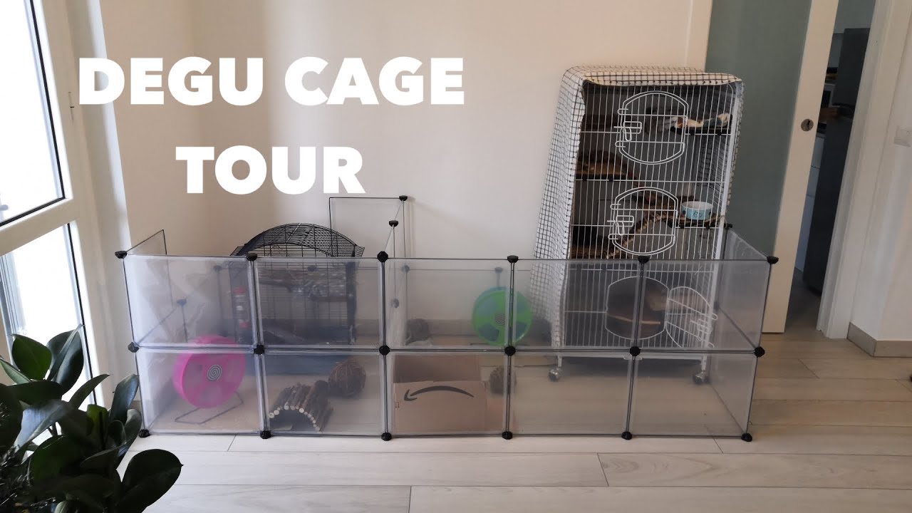 DEGU CAGE TOUR!