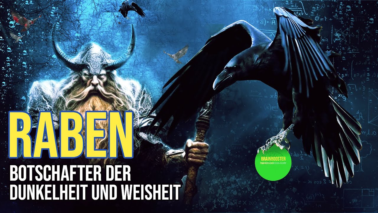 Raben - Botschafter der Dunkelheit und Weisheit