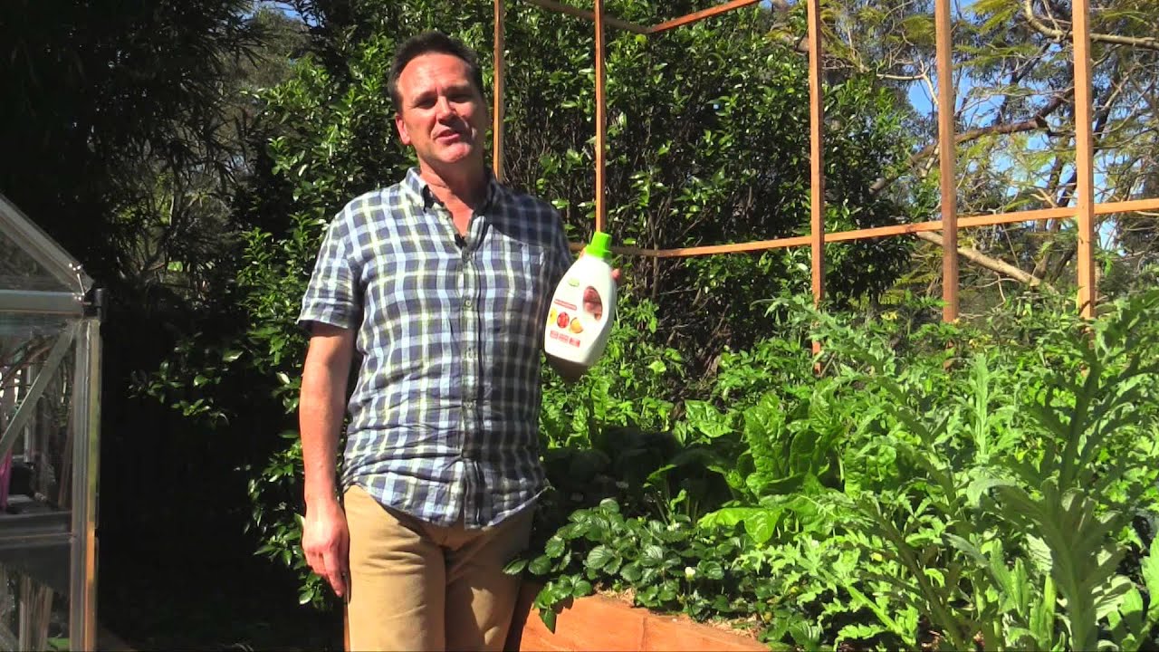 Pure Organic Liquid Fertiliser - Give Your Garden The Perfect Advantage
