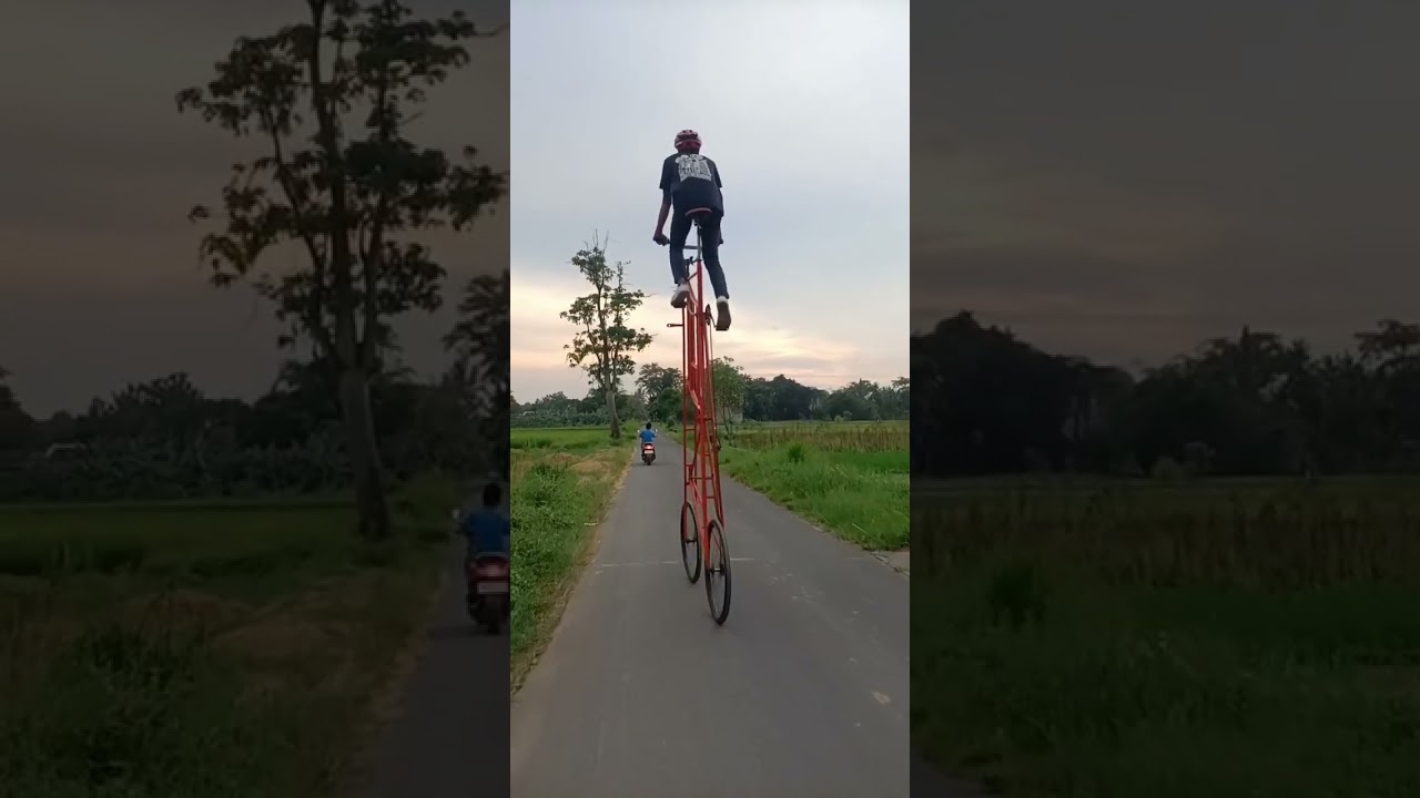 Sepeda tinggi Yogyakarta 
