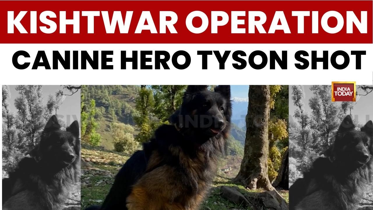 Kishtwar Encounter | Canine Soldier Tyson Takes First Bullet | Spots Jaish Terrorists In Kishtwar Op
