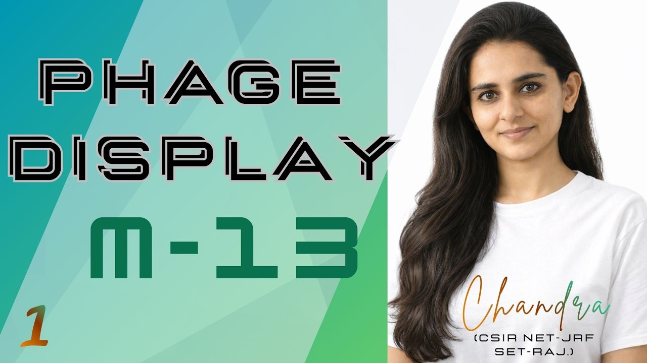Part 1 – Phage Display: Introduction & Basic Concept | M13