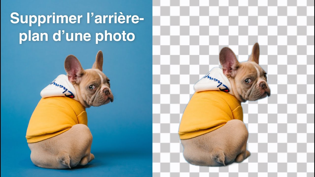 Supprimer l'arri&egrave;re plan d'une photo gratuitement (TopMediAI Background Remover)