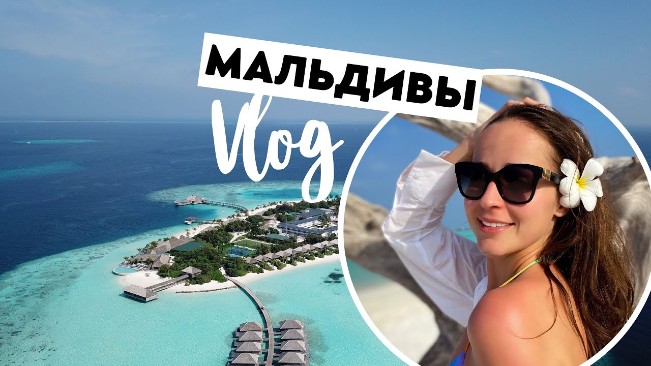 МАЛЬДИВЫ 2022 Sun Island: остров, отель, цены, снорклинг с китовой акулой, дельфинами и черепахой