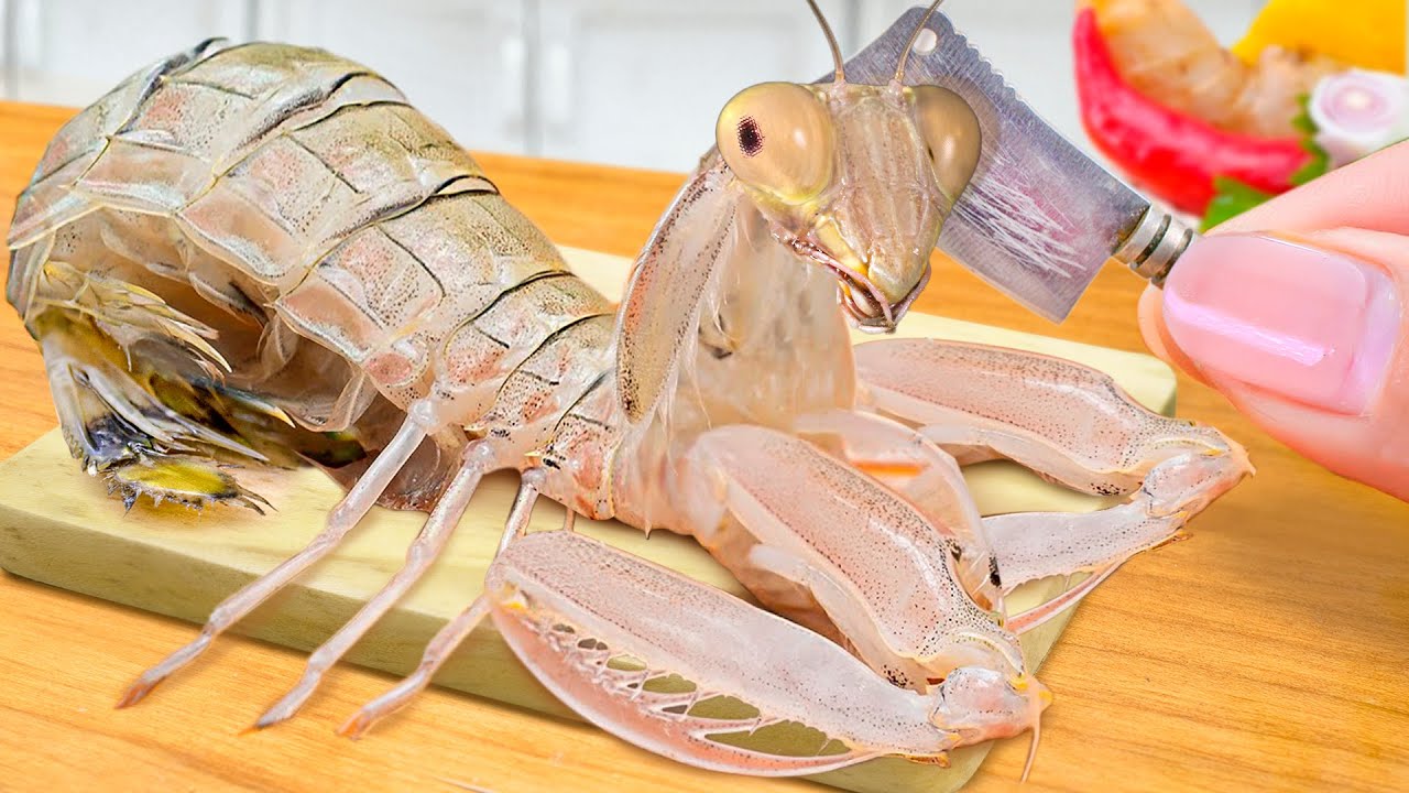 The Best Seafood Recipe by Mini Yummy 🦐 Tasty Cooking Miniature Fried Mantis Shrimp in Mini Kitchen