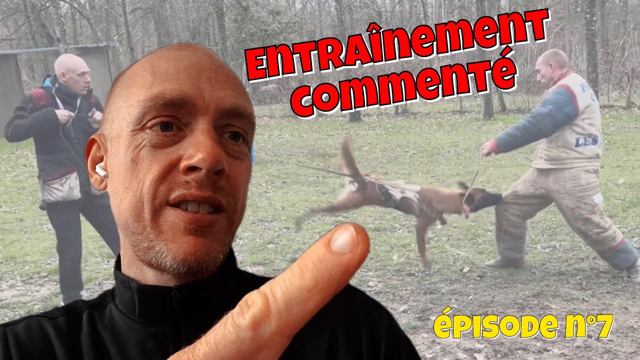 Entraînement commenté épisode 7 : DÉFENSE- ATTAQUES - RECHERCHE - GARDE D’OBJET - en ring français