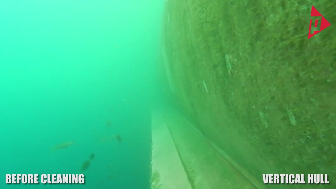 Vertical Hull Cleaning