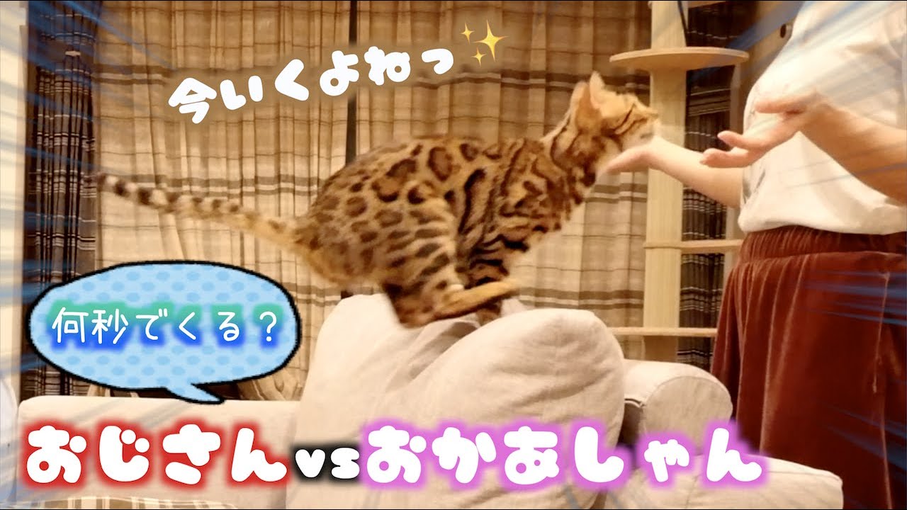「おいで」でロゼが何秒でくるかタイムアタックしたら完敗した動画