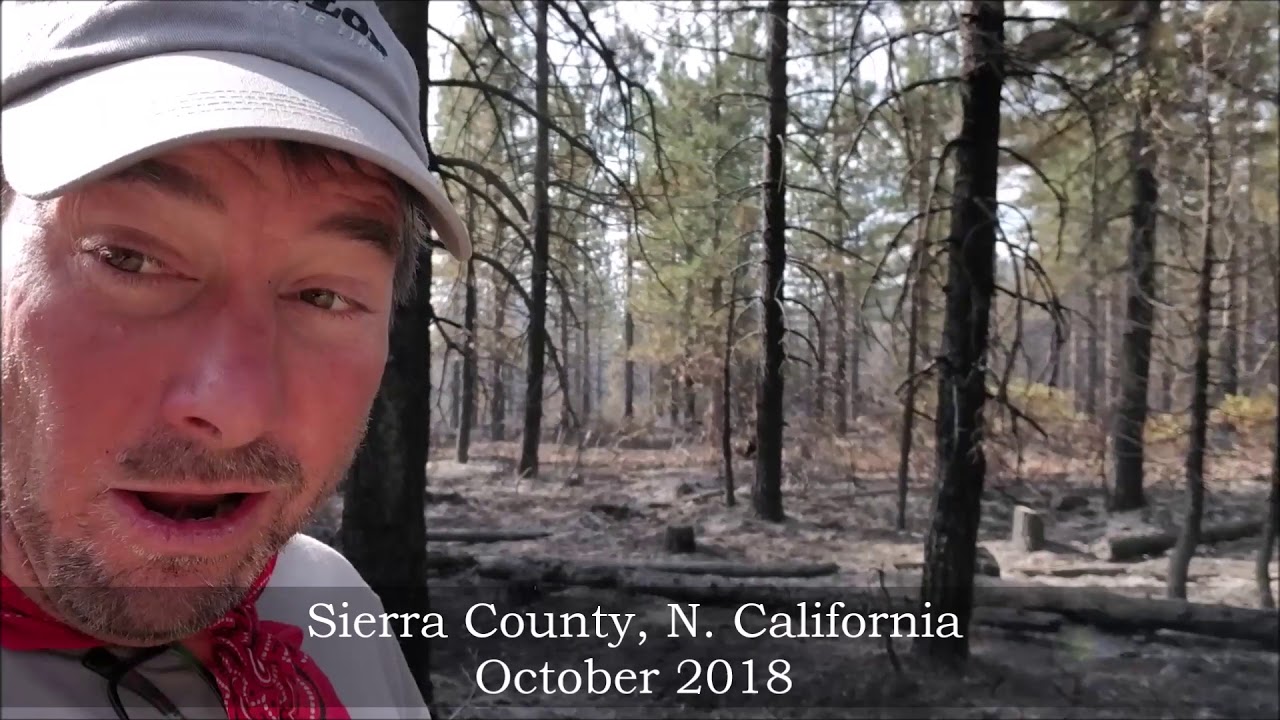 Prescribed Burn Sierra County, California