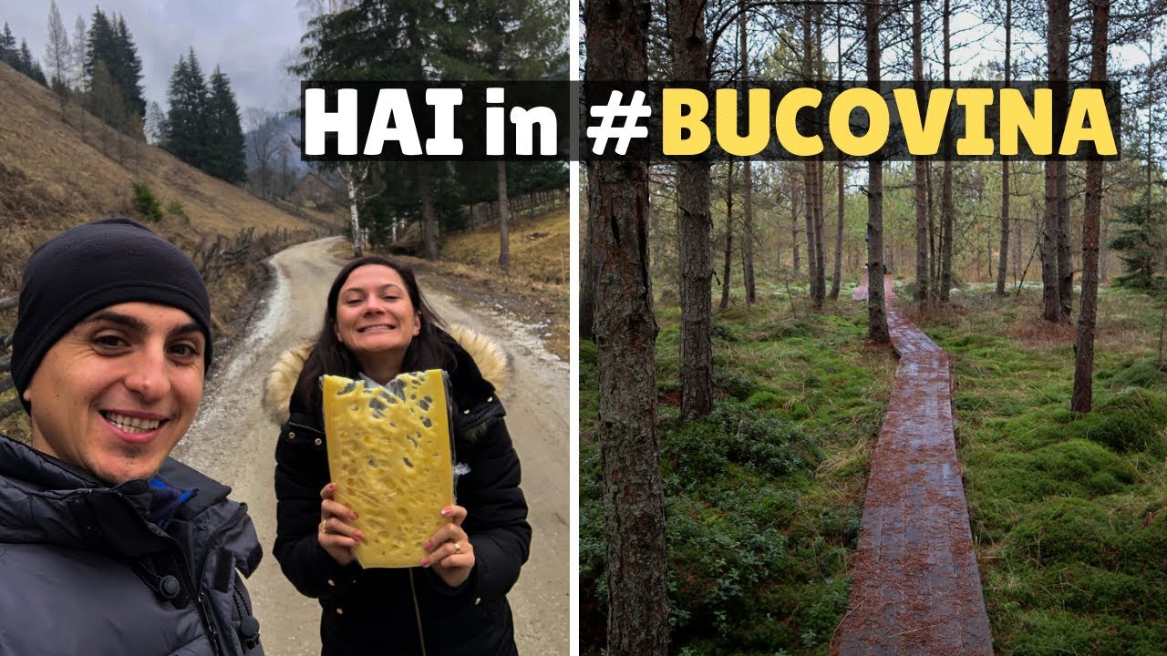 AM GASIT un colt de rai in Muntii Calimani | Saru Dornei, Romania