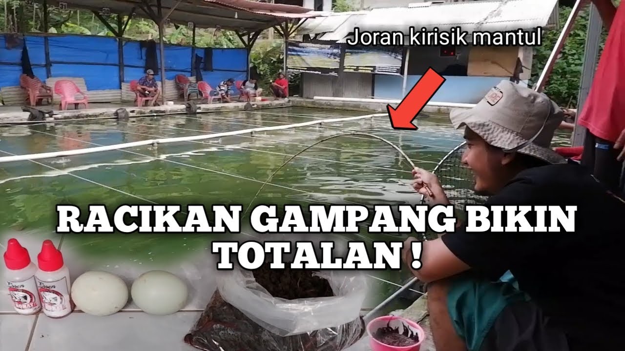 HANYA CACING KANDANG KAMBING+TELUR BEBEK JOSS !! NO TIPU TIPU.