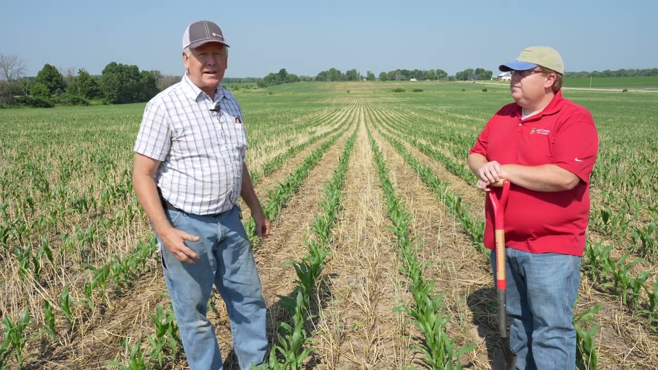 Planting Green: Spring Field Check