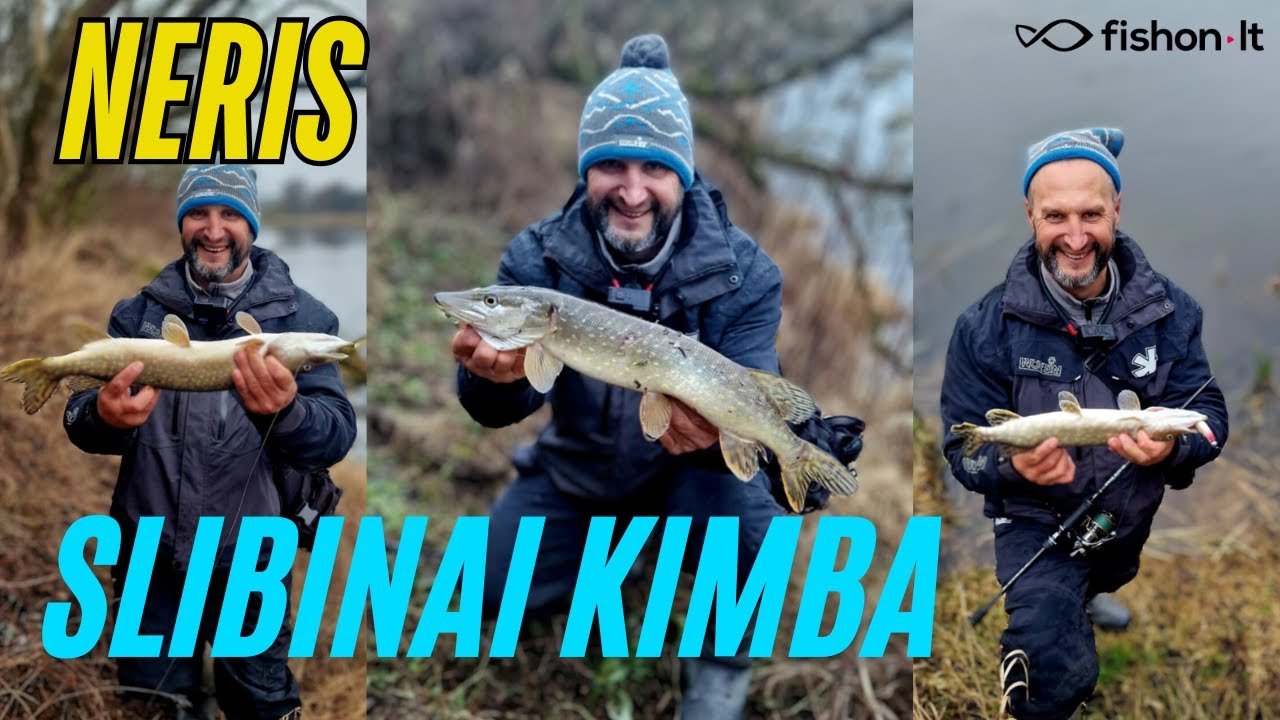 Neris | Slibinai kimba