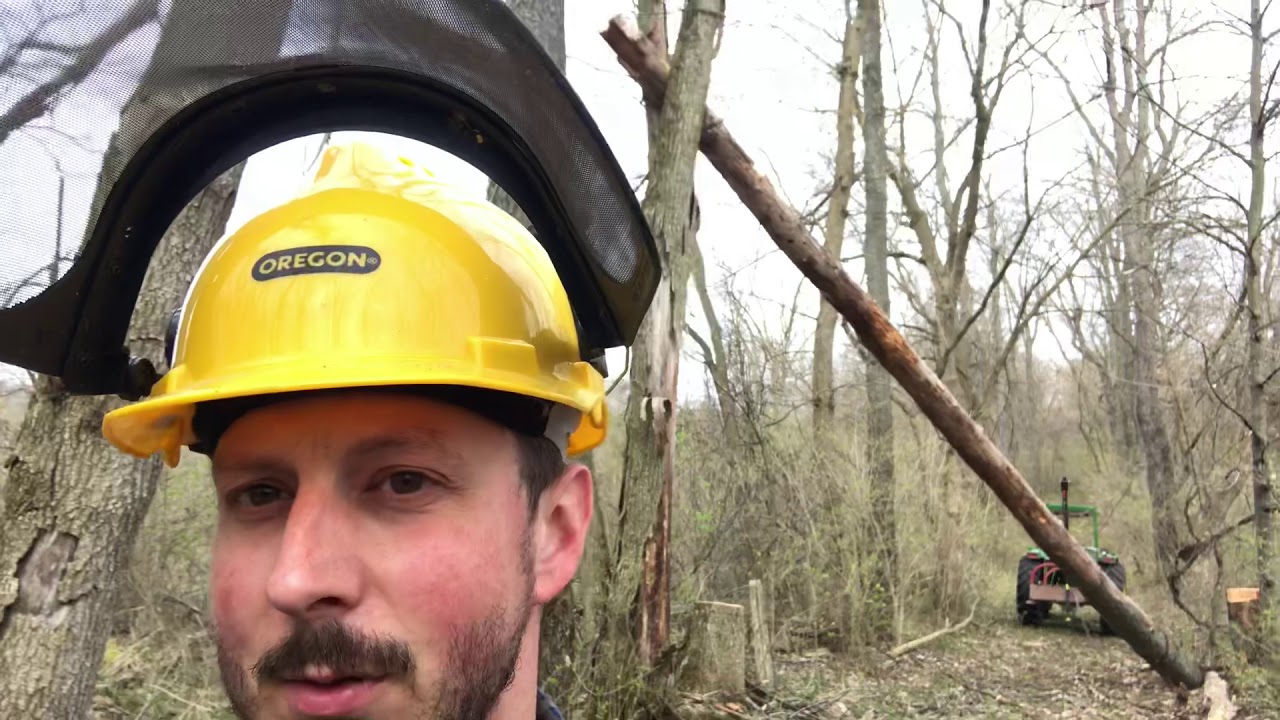 Logging with a 2500 lb Harbor Freight Badland winch?