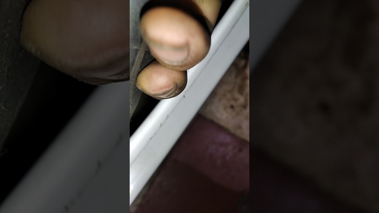desarme patrich parte cinco rodamientos