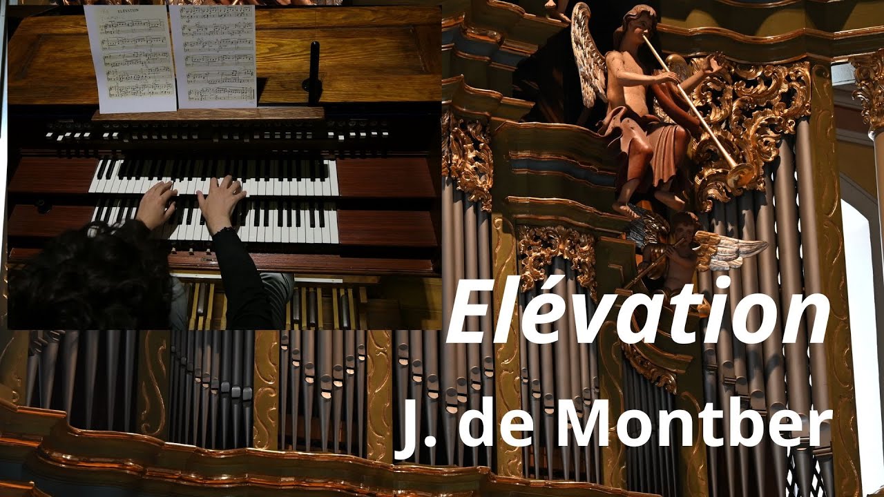 J. de Montber, Elévation | organ of the Basilica of Sieradz | Hubert Skrobiranda