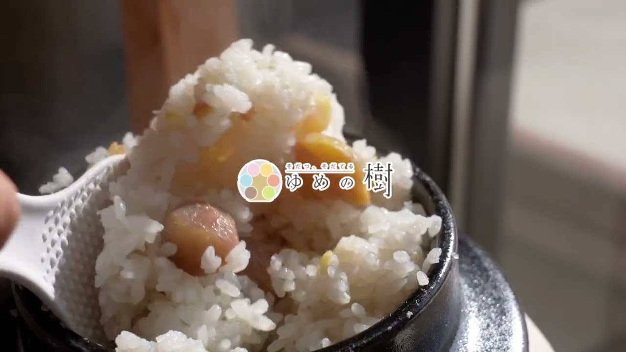 ゆめの樹