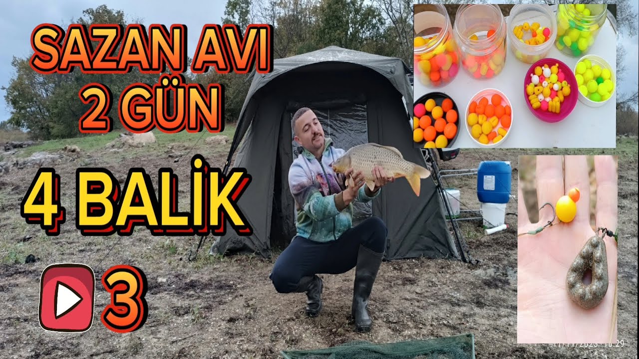 YABANİ AVLAKDA FİRTİNADA SAZAN AVI #keşfet #carpfishing #bigcarp #carp #sazanavi