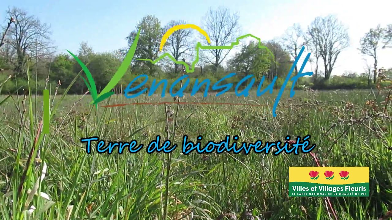 Présentation Villes et Villages Fleuris VENANSAULT 2021