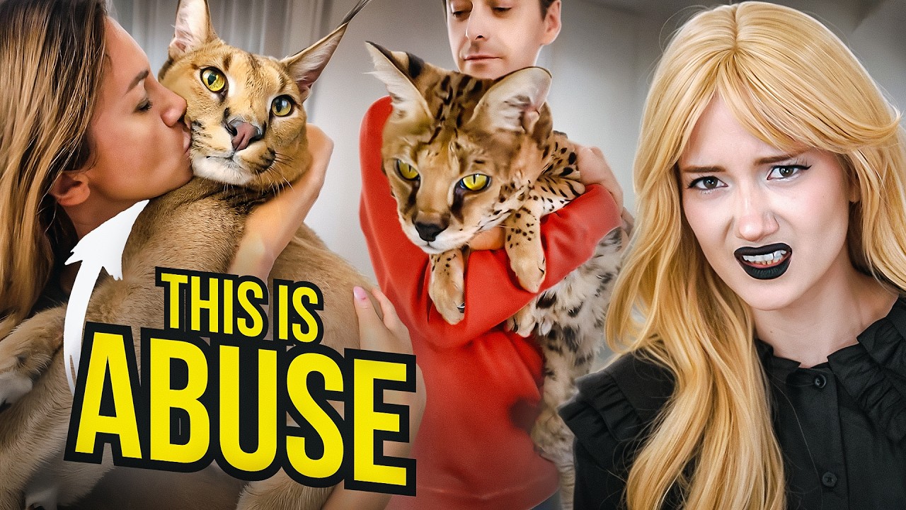 TikTok&rsquo;s EXOTIC Cat Problem