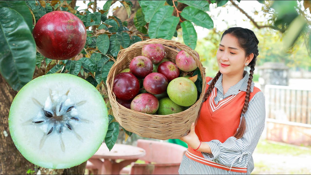Harvest Extreme Sweet Star apple season: Blended Star apple soft drink,  Cook water spinach fry duck