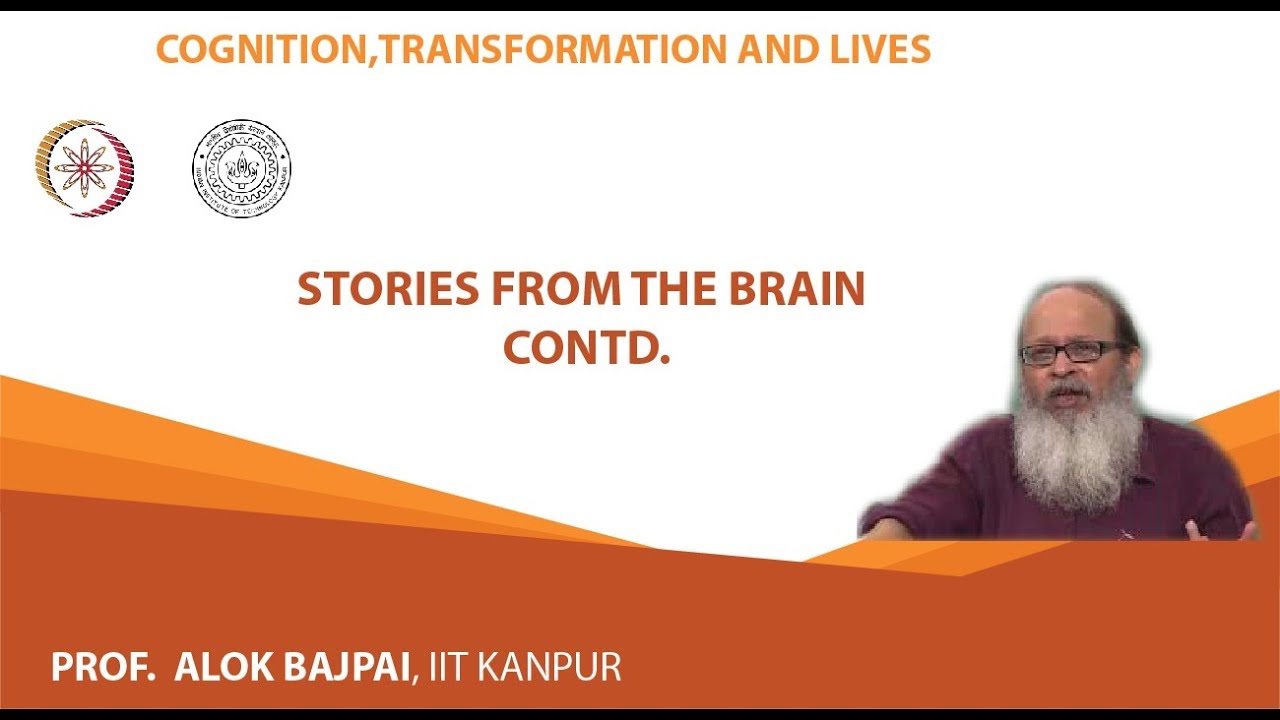 Stories from the Brain contd.