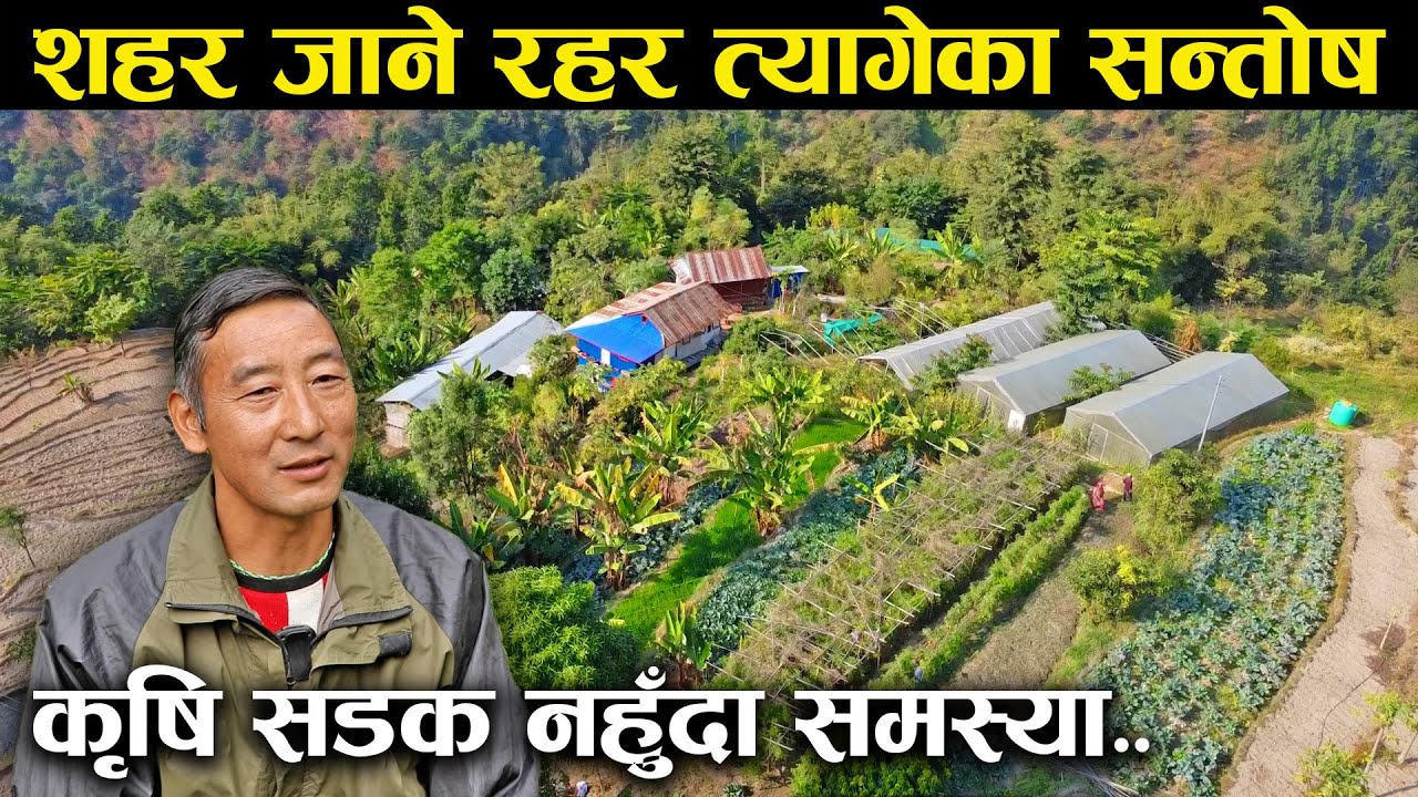 शहर जाने रहर त्यागेर खेतीमा रमाएका सन्तोष,भन्छन् - कृषि सडक र कामदारको अभाब छ
