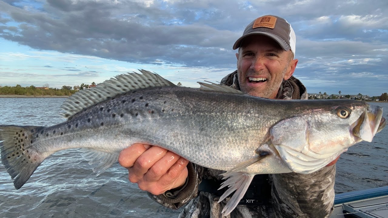 Catching GIANT Speckled Trout in Residential Canals!